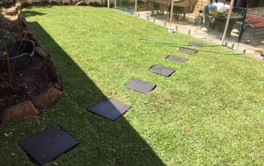 landscaping in backyard