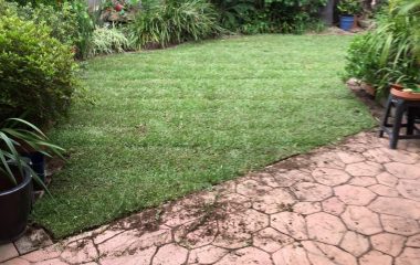 Soft Landscaping in backyard