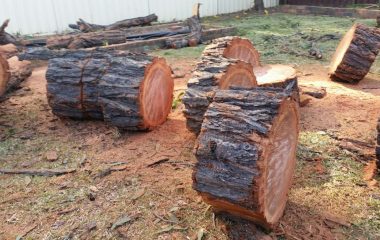 Tree Cutting into Pieces