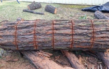 Tree Cutting into Pieces
