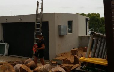 Tree Cutting Services
