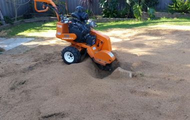 Stump Grinding Services in sydney