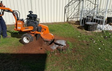 Cheap Stump Grinding