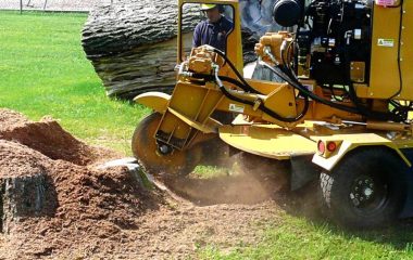 Land Scaping - 1