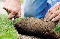 Tree lopping services Sydney, Landscaping North Shore, Tree care Sydney
