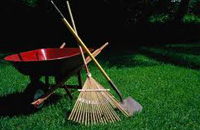 Rubbish Cleaning